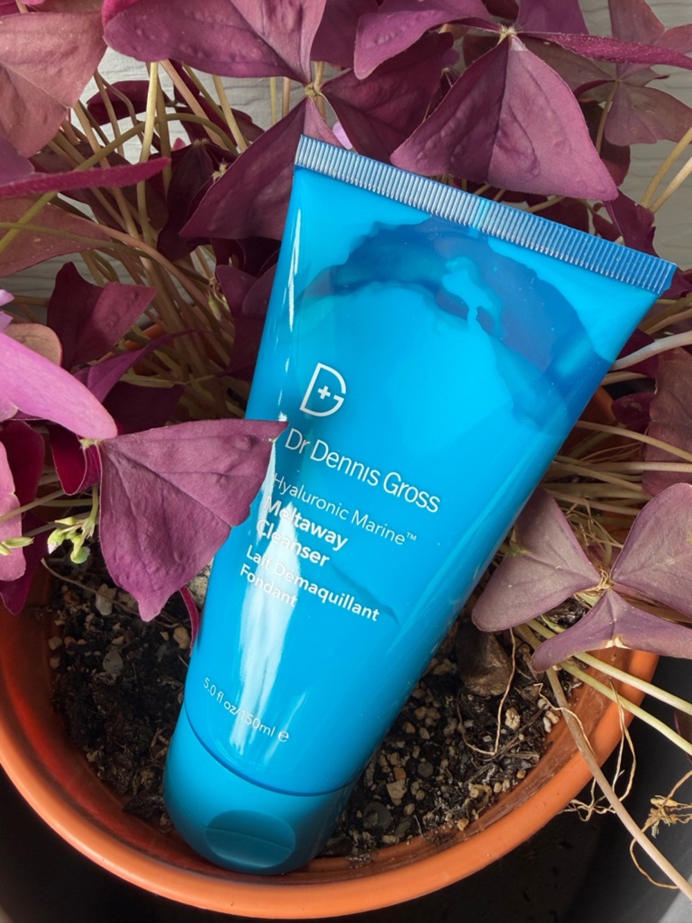 Dr DENNIS GROSS Skincare Hyaluronic Marine Meltaway Cleanser Makeup Removal - Picture 7 of 14